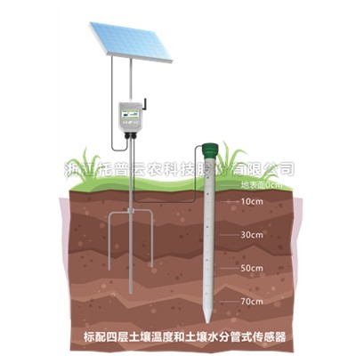 管式好色视频APP污视频墒情監測儀