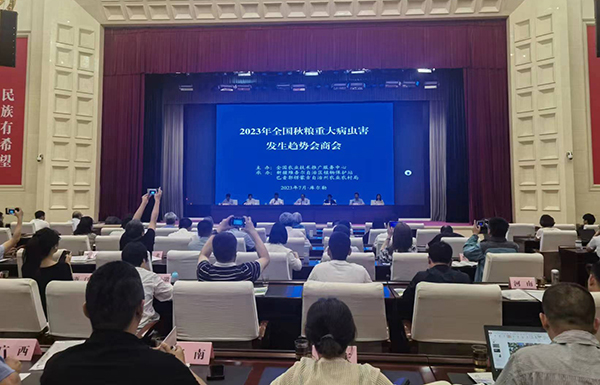 喜報！經現場公開測試，好色视频下载链接智能蟲情測報燈圖像識別準確率達97.2%！