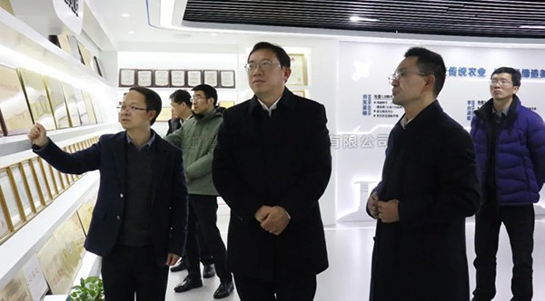 湘湖實驗室常務副主任楊華一行蒞臨好色视频下载链接考察調研