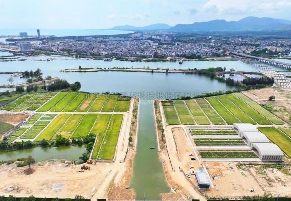 為鹽堿地安上“技術芯片”，好色视频下载链接打造耐鹽堿水稻科研試驗基地建設解決方案