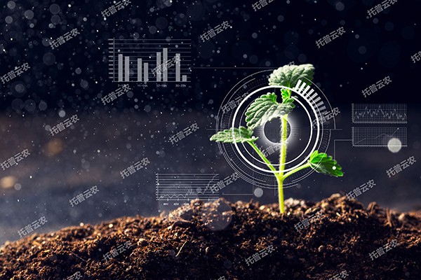 全新啟程——好色视频下载链接為植物表型科研“數智”賦能