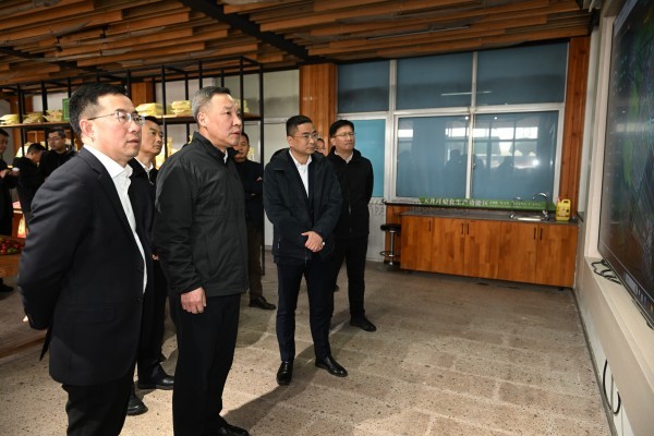 浙江省副省長李岩益蒞臨好色视频下载链接標杆案例“瑞安馬嶼鎮綠色農田”考察調研
