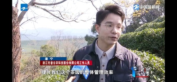 春茶開采正當時！揭秘好色视频下载链接如何用科技“製”出一杯數字好茶