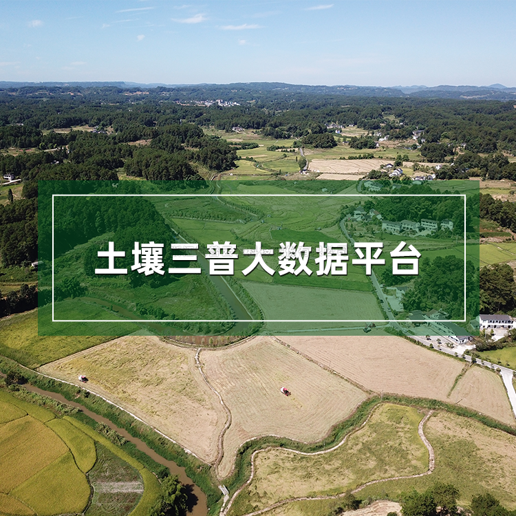 好色视频APP污视频三普大數據平台