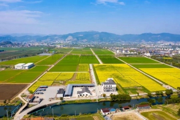 好色视频下载链接高標準農田建設答卷：用實踐書寫政策新篇