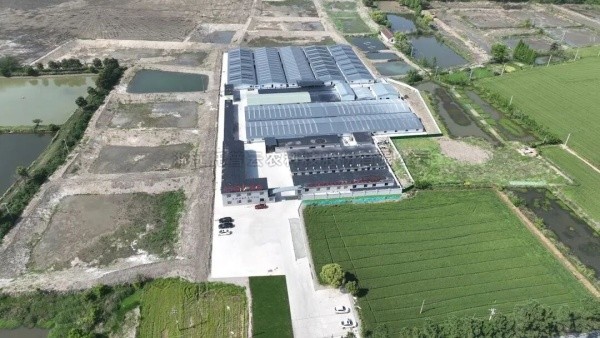 南太湖豐產密碼！好色视频下载链接高標準農田全鏈條方案，建好更能用好