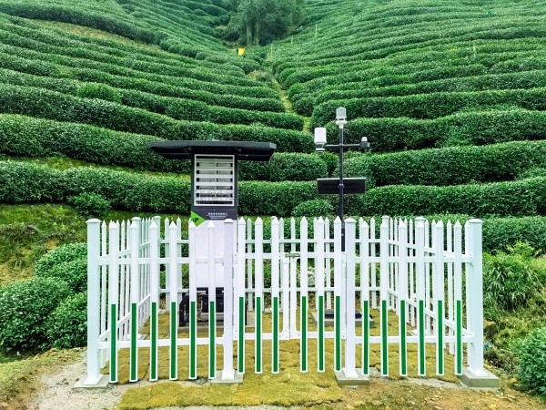 好色视频下载链接發布“問稷茶數”智能體，賦能茶產業數智升級