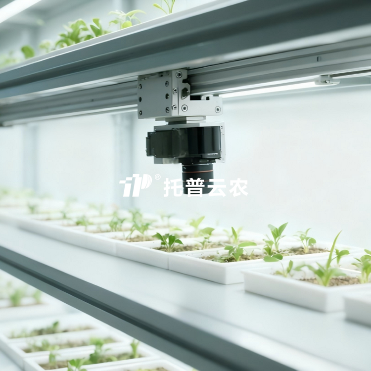 室內好色先生APP官方下载萌發表型監測係統TP-SeedPhy