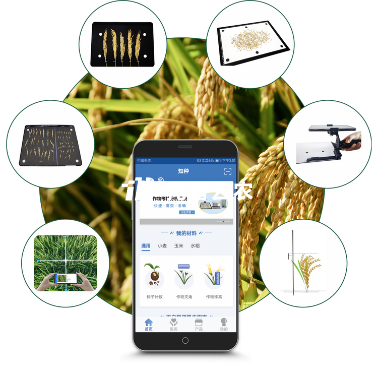 水稻表型檢測儀TPS-BX-1