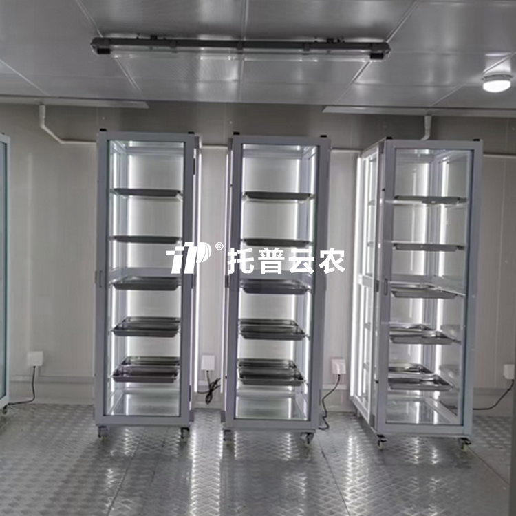 好色先生APP官方下载發芽室/