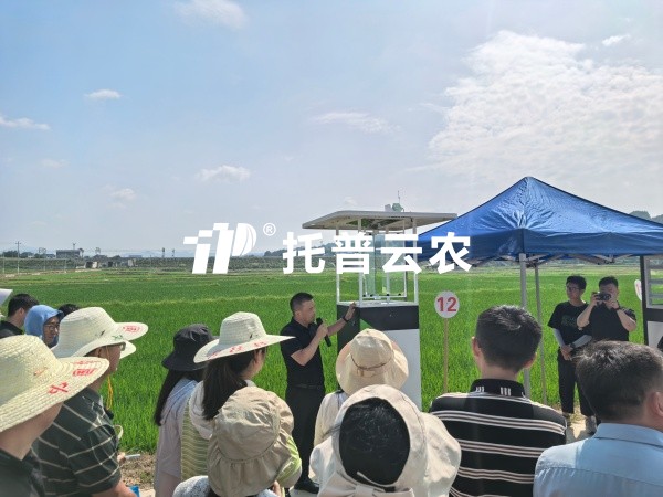 從“監測”到“智判”！好色视频下载链接智能（AI)蟲情測報燈重磅發布，智慧植保邁入“智判”時代