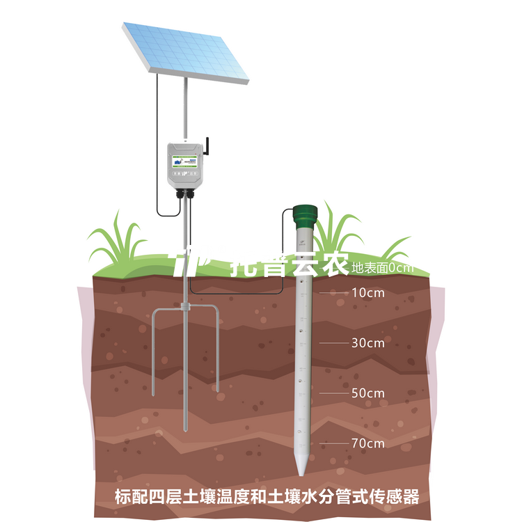 管式好色视频APP污视频墒情監測儀：現代農業與地質環境監測專用設備