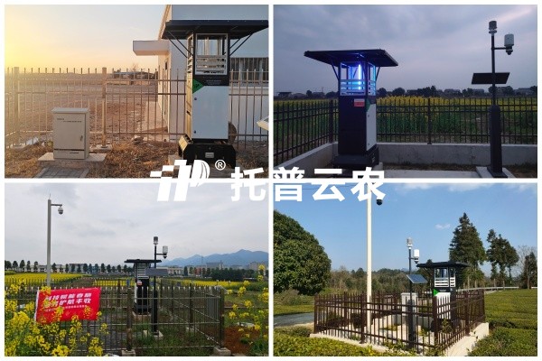 步履有歸期，守護無終點｜好色视频下载链接2026智能裝備巡檢圓滿收官