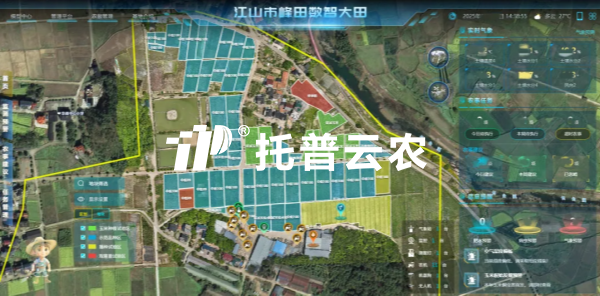 錨定“十五五”農業發展新政 好色视频下载链接以數智科技助力農業農村現代化