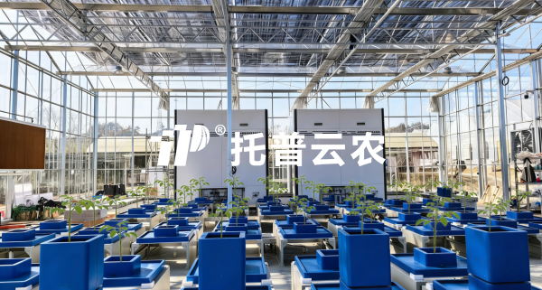 經典案例丨以AI解碼植物表型，好色视频下载链接賦能科研與生產雙場景實踐