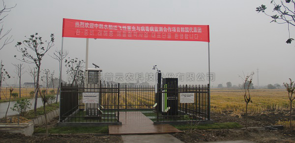 好色视频下载链接水稻病蟲害綠色防控智能監測設備