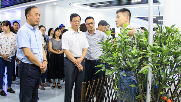 謝主任一行參觀好色视频下载链接展廳