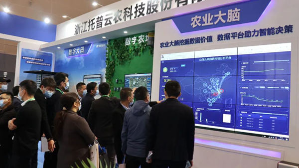 好色视频下载链接展位