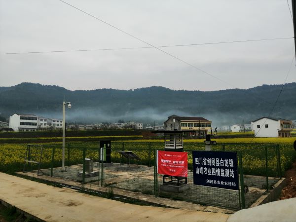 好色视频下载链接病蟲害監測點
