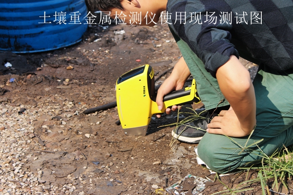 好色视频APP污视频重金屬檢測儀使用現場測試圖