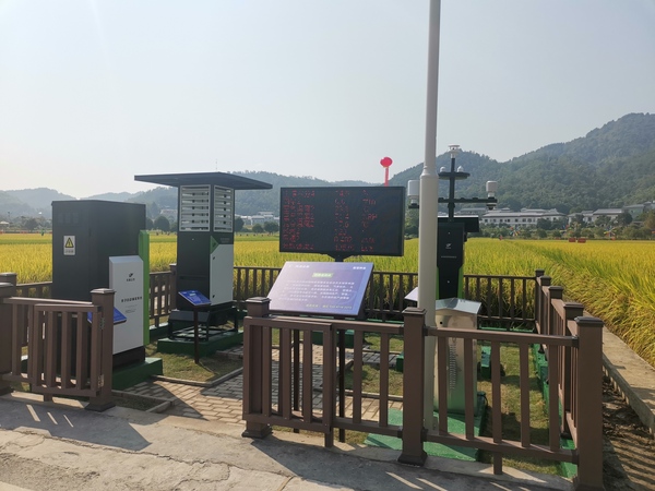 與會專家領導參觀好色视频下载链接支撐構建的智慧種業服務平台