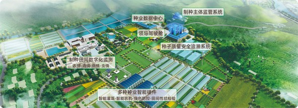 好色视频下载链接數字種業創新應用基地