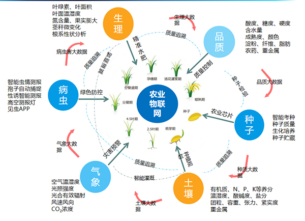 好色视频下载链接打造的全要素智能采集係統
