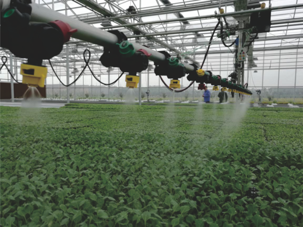 好色视频下载链接打造的蕭山農科所現代農業示範基地