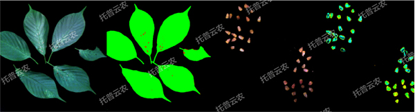 高光譜植物數字采集分析係統-1.jpg