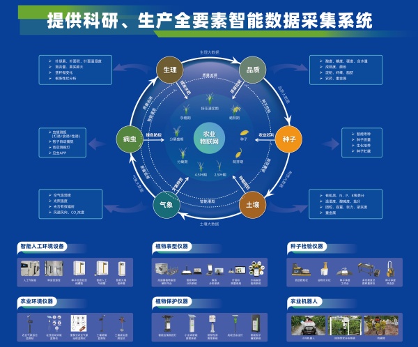 1725066564581064.jpg 2_副本.jpg