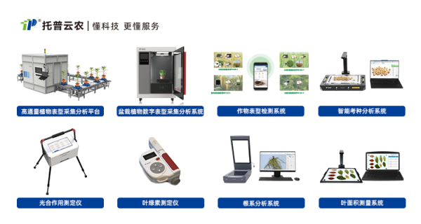 1725355366674853.png seo圖 (5).png