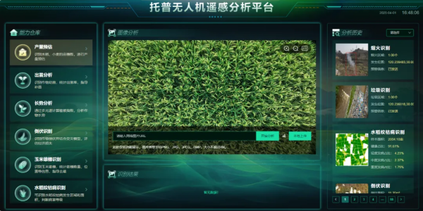 seo-5.png