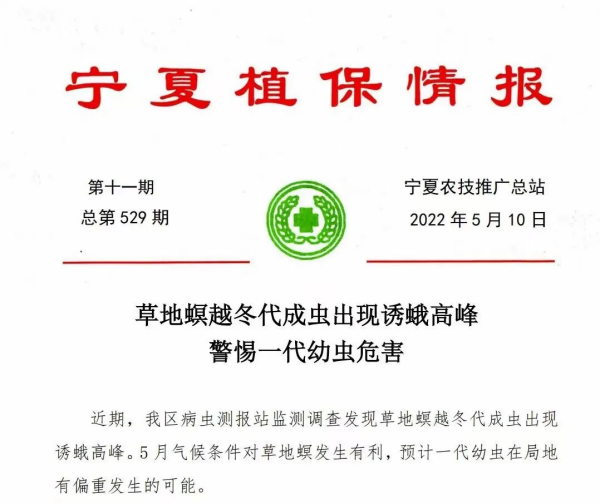 寧夏蟲情.png