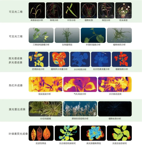 圖片2_副本.png