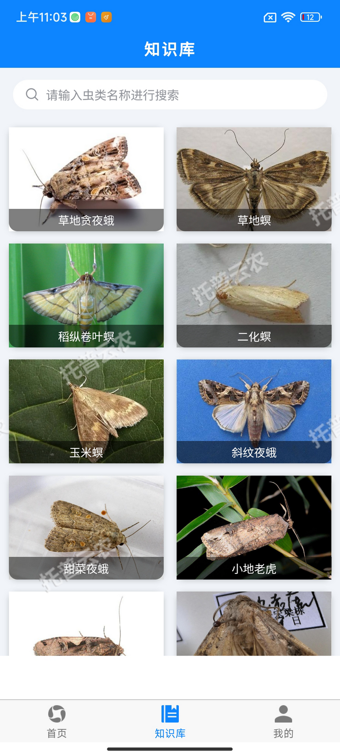 5、害蟲知識庫.png