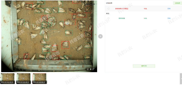 智能識別計數.png