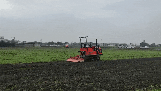 圖片4.gif