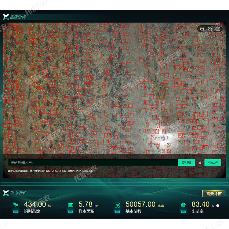 2.png